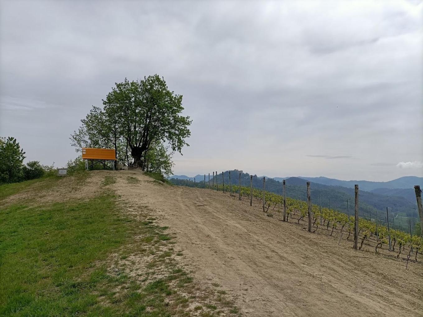 Monferrato Bed&Bike Hotel Murisengo Exterior photo